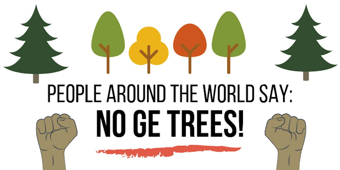 GJEP123's tweet photo. People around the world say: NO GE TREES! 🌳
Visit the Stop GE Trees website at https://t.co/NWKjjmyB4R
#stopgetrees #geneticallyengineered #trees https://t.co/3uucYy4oXd