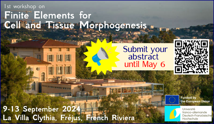 Together with @GabriellaBioMec @ericnumerics @HerveTurlier we organise a 1st workshop on Finite Elements for Cell & Tissue Morphogenesis, featuring distinguished speakers. We now accept applications from master & PhD students & postdocs, please spread ! morphofem.sciencesconf.org