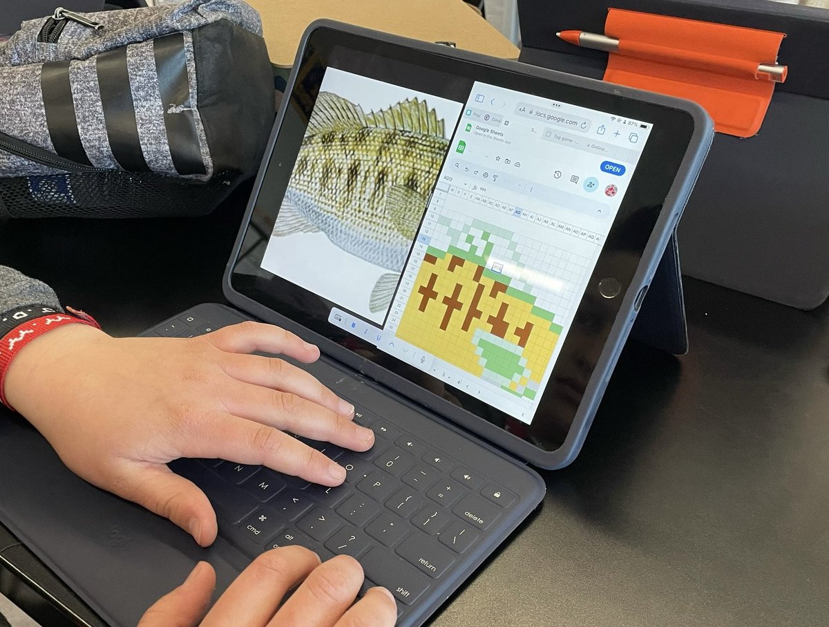 Brisa Cabe tweet media