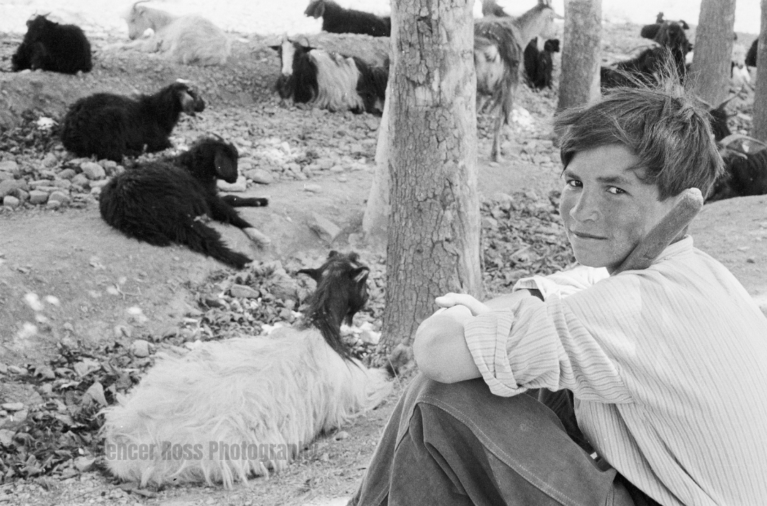 SRoss75years's tweet photo. Boy Shepherd with Goats (Pakistan 1957)#photography #blackandwhitephotography #nikonphotography #photooftheday #photographer #pakistan #photographer #art #capture #photographylovers #artphotography #artisartcommunity #fineartphotography #75yearsofphotography #spencerross https://t.co/3i1OVBoxKY