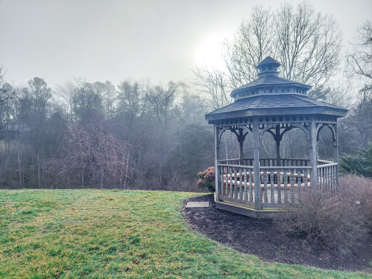 Photo from a recent misty morning. The greens were so green, and the light was muted. All was quiet. 🌫️💚🥰🤍🌿
...
#foggyday #mountains #NeighborhoodPark #mistymorning #forestphotography #moodygrams #moodnation #gazebo #foggymorning #woodlandphotography #chasingfog  #LoveVA