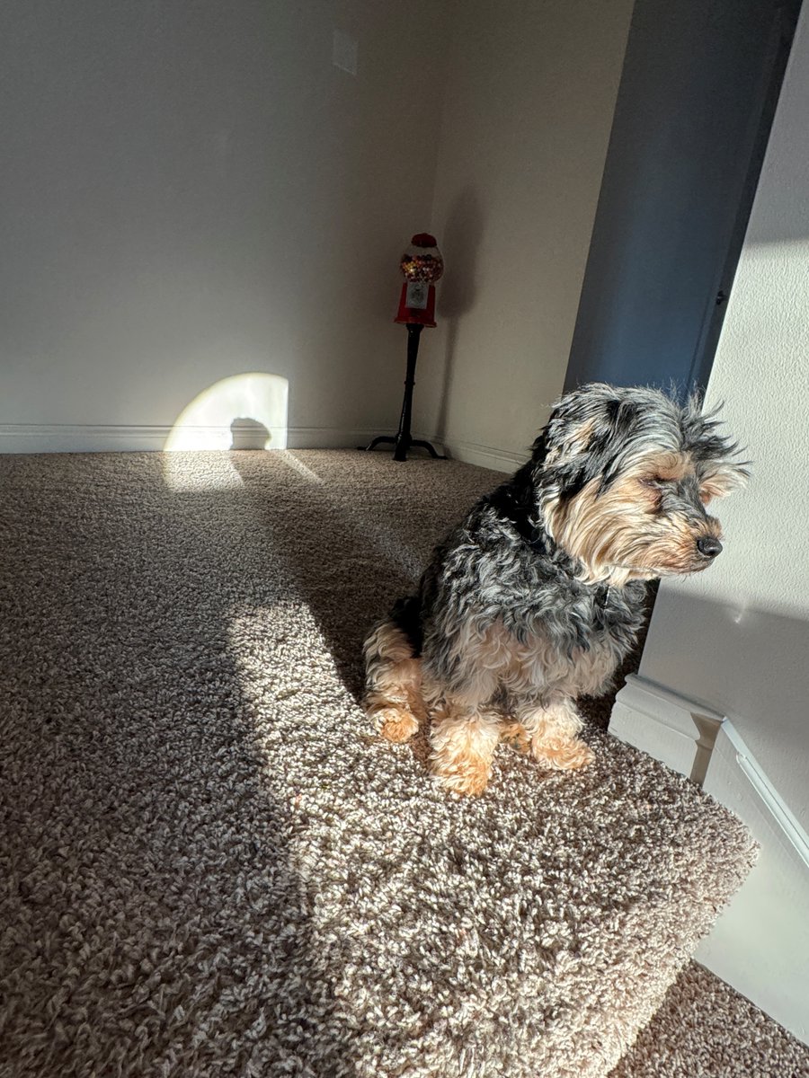 Heather Smith tweet media