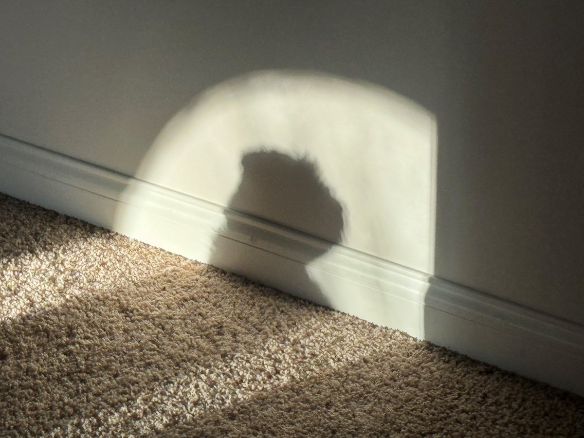 Heather Smith tweet media