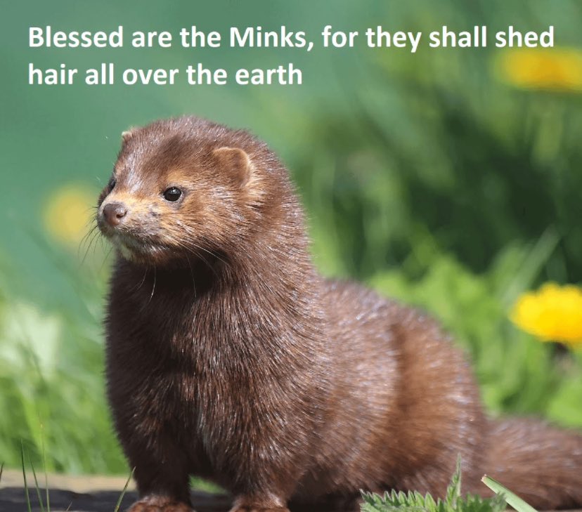 Science girl gunsnrosesgirl3, Twitter Profile