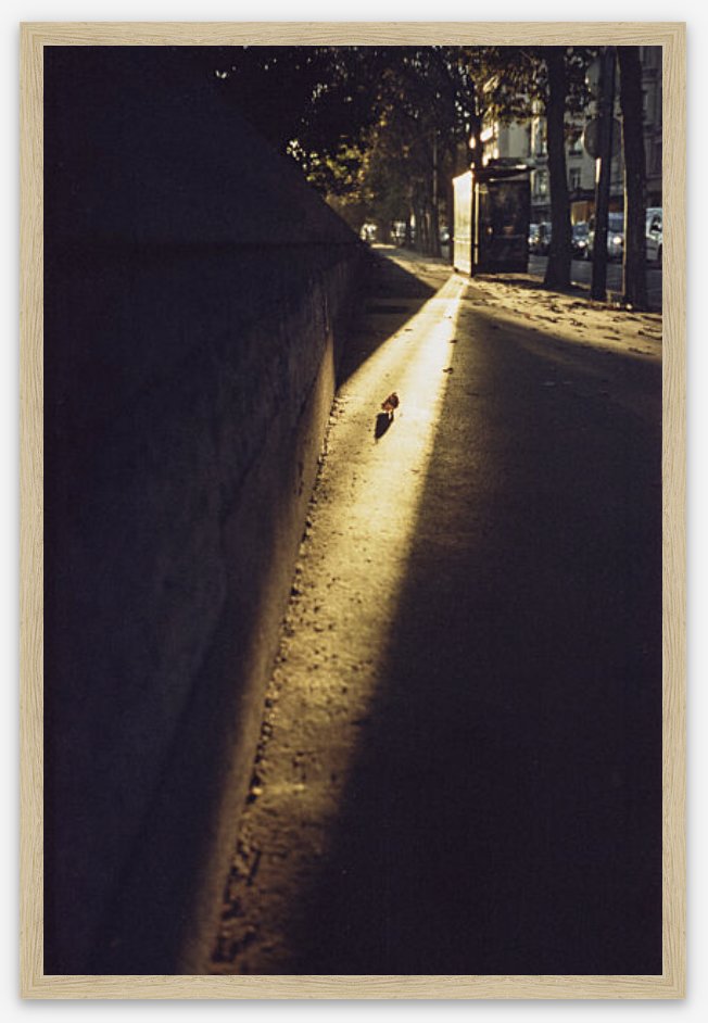 <a href="/CozomoMedici/">Cozomo de’ Medici</a> @rollbitcom <a href="/justinaversano/">justinaversano</a> gm Cozomo &amp; <a href="/justinaversano/">justinaversano</a> 

Thanks for the opportunity to share. Let's hear it for PHOTOGRAPHY!

'feuille'
35mm film photograph, Paris
1/1 NFT 0.2 ETH

Midwinter morning light reflects off a Parisian bus-stop, illuminating a forgotten leaf.

#ArtTank
joyn.xyz/asset/175011