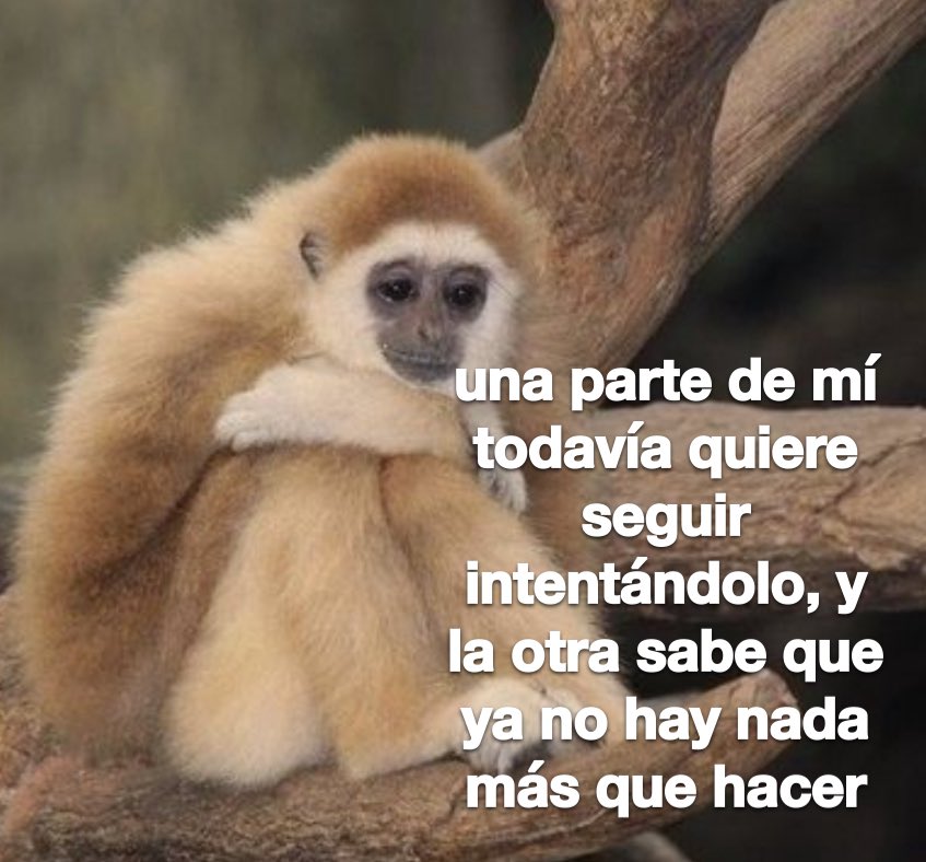 conoloracigarro's tweet photo. Una parte de mi 🧩 https://t.co/7roEz0R6o4