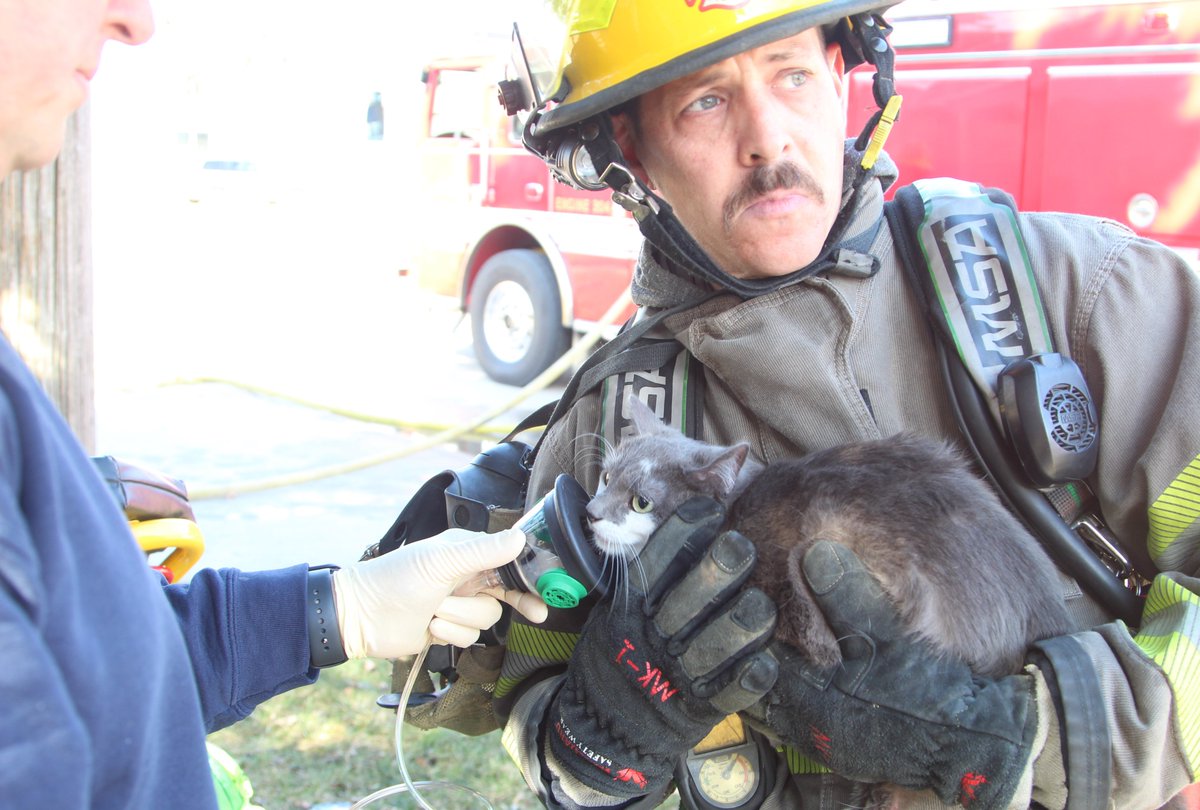 JeffAtCourier's tweet photo. Waterloo firefighters rescued a cat from a burning house on Downing Avenue. #iowafire https://t.co/b3udP8un6U
