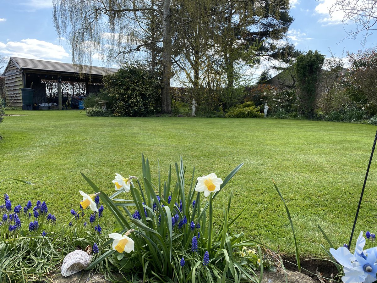 With the temperature increasing, our #SpringReady treatment will be starting to work its magic across your lawns 🌱

We can't wait to see you all enjoying your lawns very soon. 

There's still time to book yours ➡️ greenthumb.co.uk/pages/book-a-c…

#LawnCare #LawnLovers