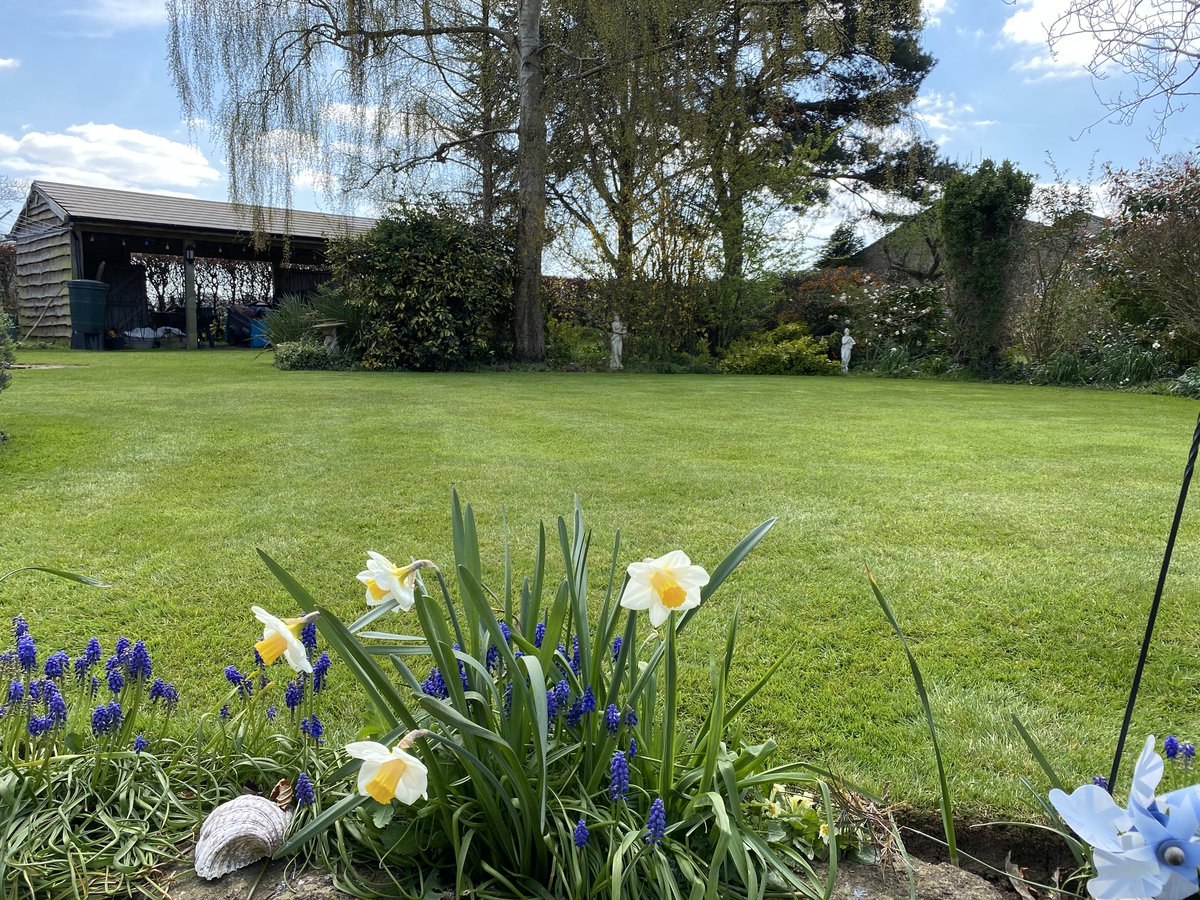 With the temperature increasing, our #SpringReady treatment will be starting to work its magic across your lawns 🌱 We can't wait to see you all enjoying your lawns very soon. There's still time to book yours ➡️ greenthumb.co.uk/pages/book-a-c… #LawnCare #LawnLovers