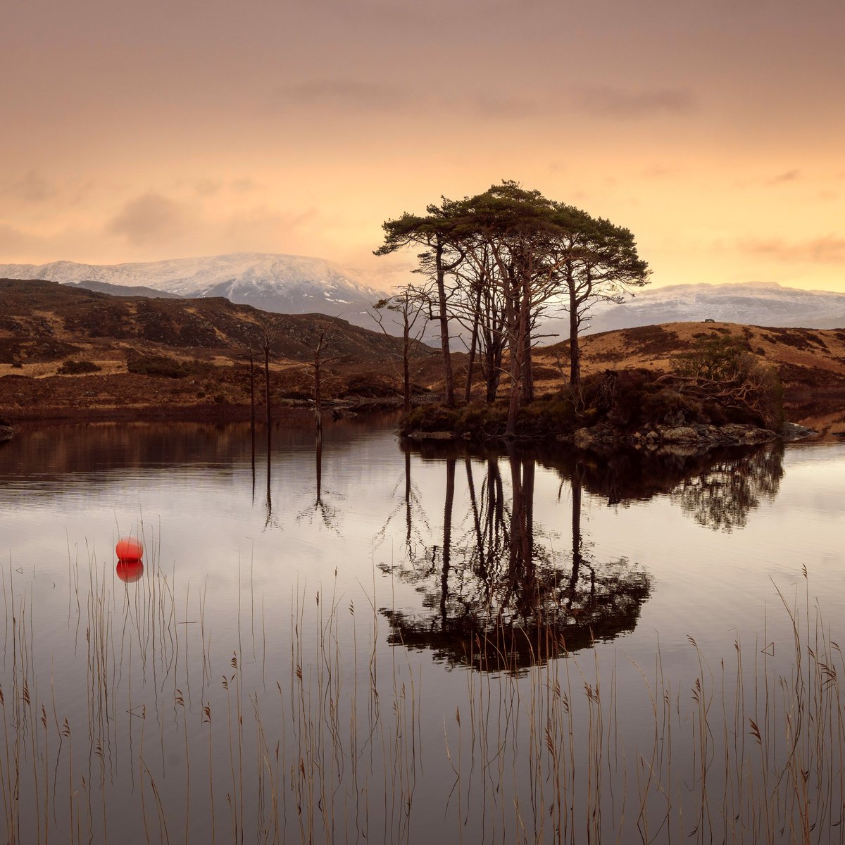 Some calm weather at Loch Assynt a few days ago.
#Scotland