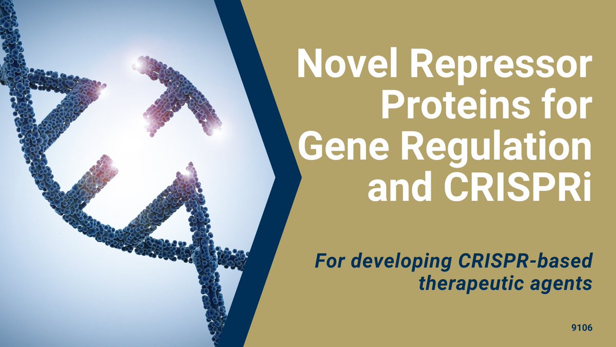 GaTechOTL's tweet image. #AvailableForLicensing: New Cas #CRISPR gene interference (#CRISPRi) platform uses novel fusion proteins to target a gene&apos;s promoter for inhibition and/or deletion to enable the development of CRISPR-based #therapeuticagents. 
ow.ly/tvEu50Q8VgM
#diagnostics #generegulation