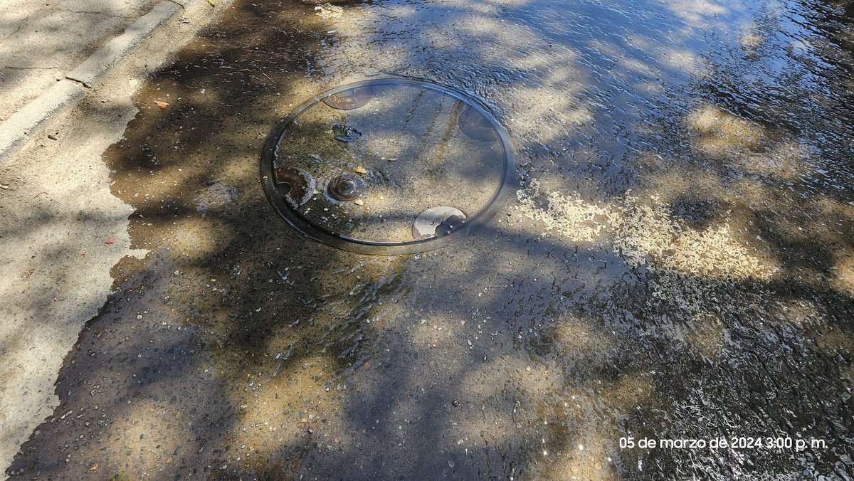 Lxshitox's tweet photo. @aguas_andinas rebalse de cámara con escurrimiento de aguas servidas a la vía pública, fuerte olor a eses, @SanBernardocl Psje. Rafael Sotomayor 1130 https://t.co/N4f3RueisO