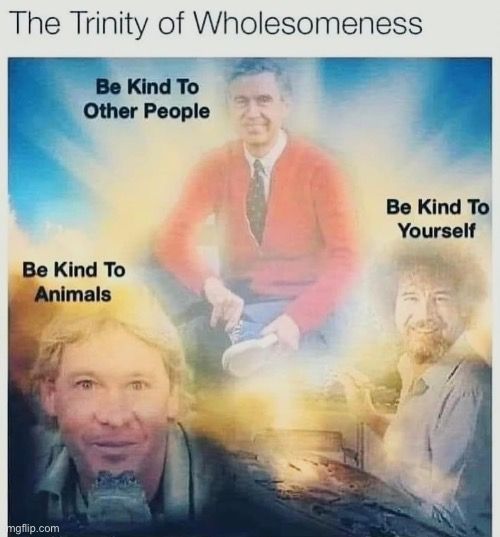 WholesomeMemes tweet media