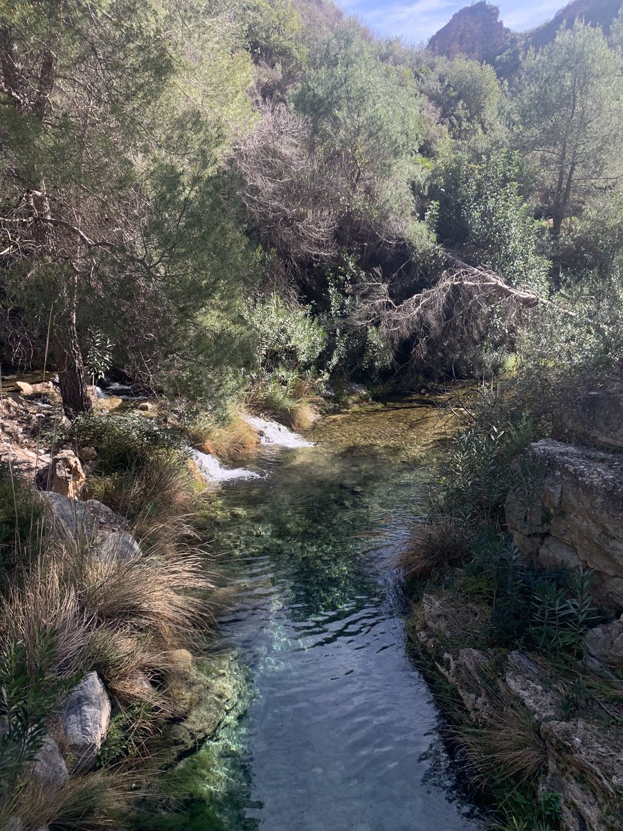 Lucía🌙 tweet media