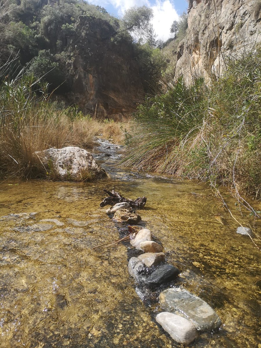 Lucía🌙 tweet media