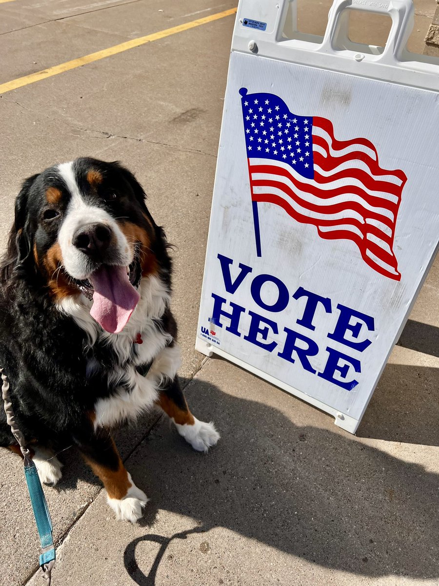 Henri knows what it’s like to look intimidating but have a heart of gold. He showed his support for DOTUS Major by walking his mommy to the polls. #SuperTuesday #Election2024
