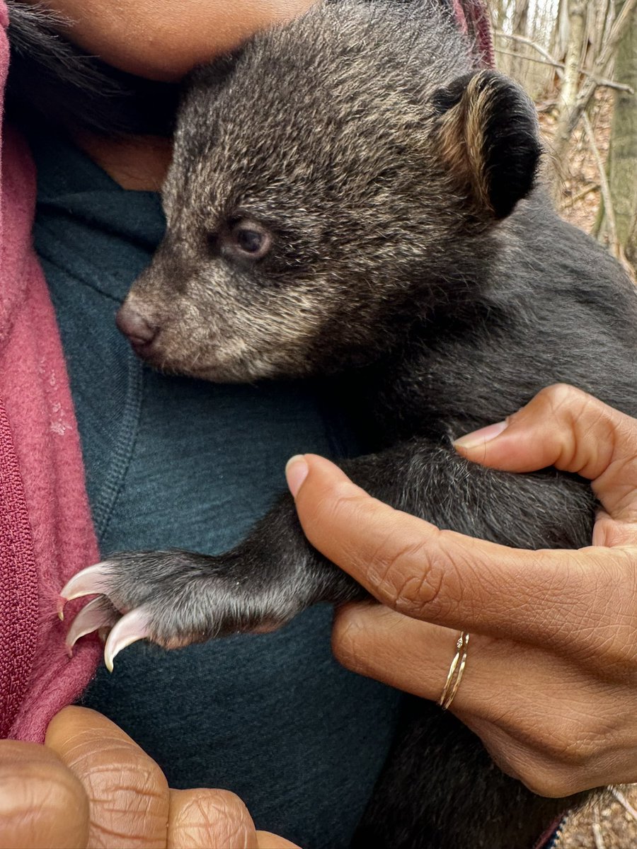 DGA Productions tweet media