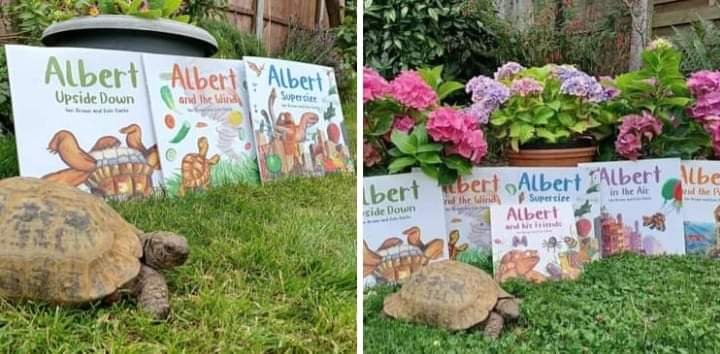 AlbertTortoise's tweet photo. Some new posing to come from #ALBERTthetortoise as new titles join his selection of #books this year. Watch this space. #AvailableNow Six ALBERT #picturebooks, #BoardBook ALBERT and his Friends, #ActivityBook ALBERT PUZZLES AND COLOURING. https://t.co/sGYhBlGs7n
#bookser https://t.co/B9ggQ5mfEM