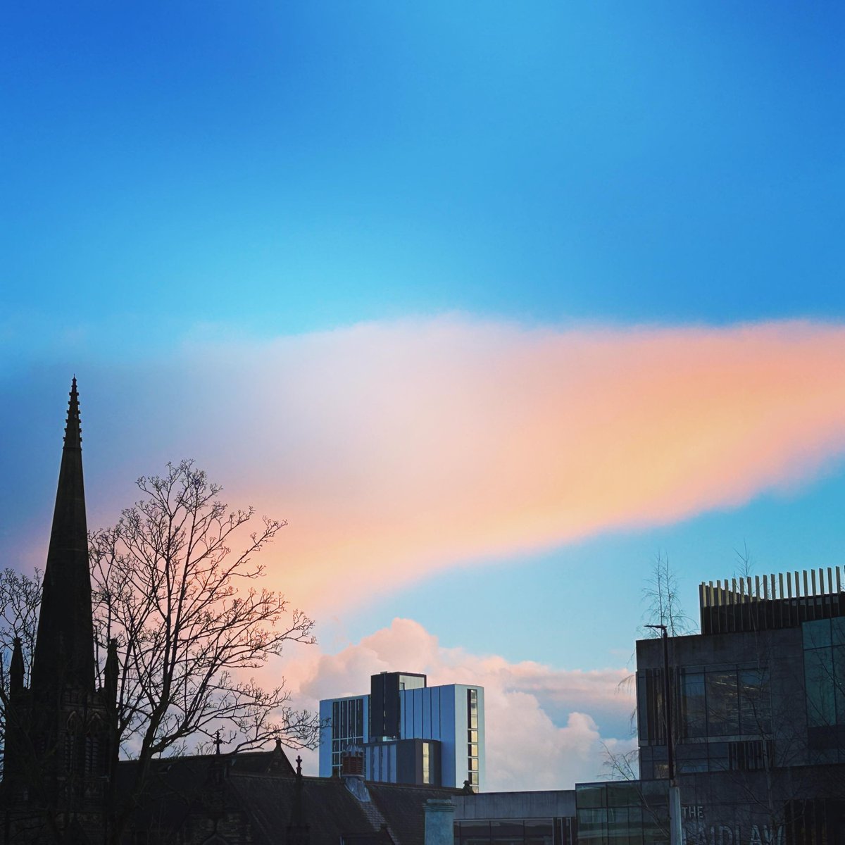 Spring is definitely in the air, but a few more degrees wouldn't hurt! 🌸🌞

Photo by IG: r0xy13g0ne

#LeedsUni #LeedsLife #Leeds #Spring