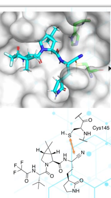 A wonderful afternoon of sharing chemical sciences research online: first up was Plastic Fantastic? focused on @williamsgroupox, followed by Joe @GouverneurGroup, Sam @emily_flashman group and Sara @duarte_group delivering our newly updated Chiral Chemistry workshop. @mplsoxford