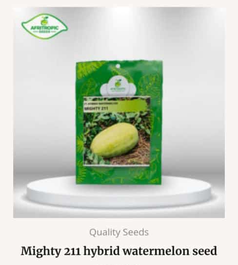 Ceejay_Anunuebe's tweet image. Our seeds are trusted, it's a high quality seedling that you will never regret the aftermath....
We have the following quality seed...
Cucumber, watermelon, onion bud,carrot,bell pepper,sweet berries, eggplant, chilli pepper and many more...
We deliver all over West Africa.