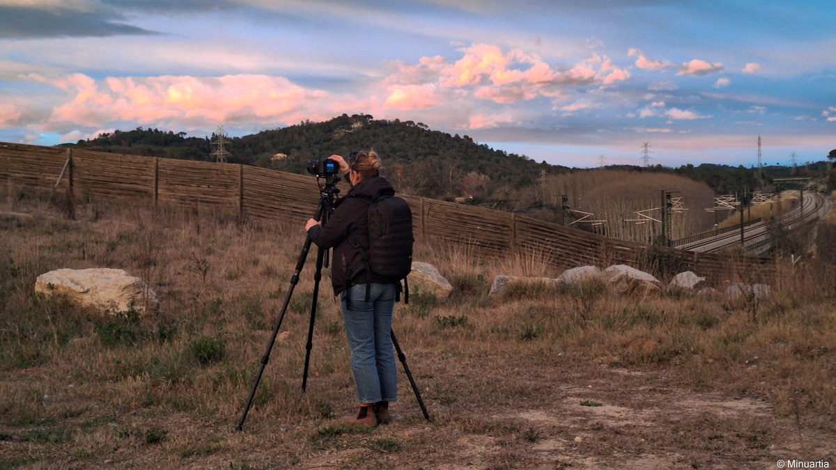 Carme Rosell tweet media