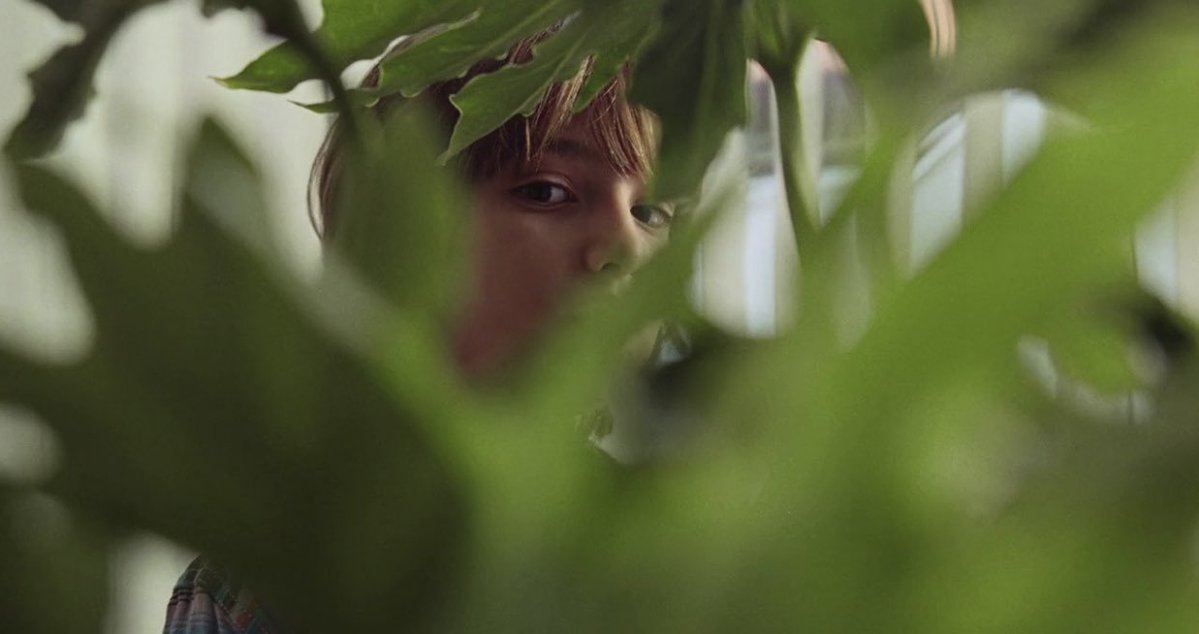 cinesthetic. tweet media