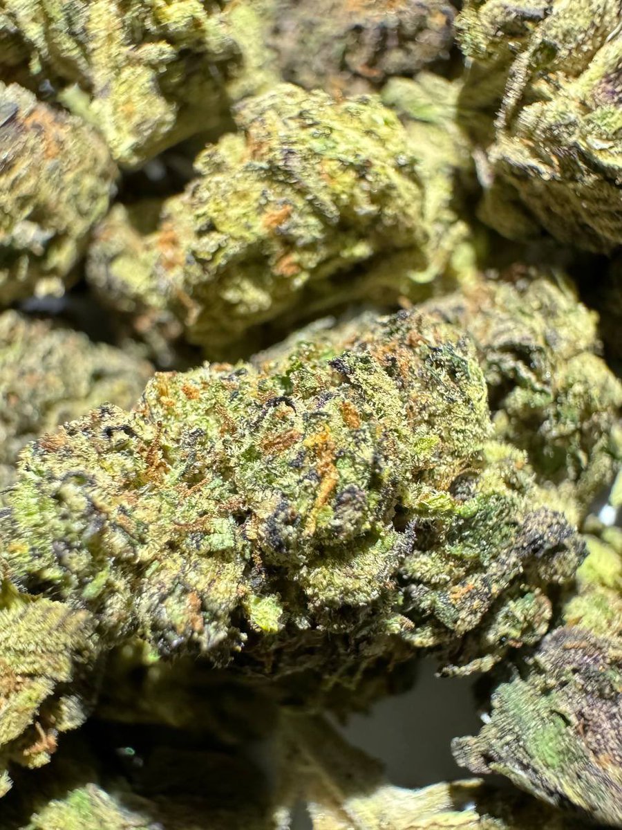 已新增多筆預埋商品，下單完成付款✅即可立刻馬上前往取貨💯歡迎前來選購😀😀

👑黑人王國TG裝備頻道👑

  擴大徵才中！缺的就是你！

 🚗誠徵北、中、南部埋包手🚗

福利➡️自己購買成本價、賺賺零用錢、適合悠閒的你！

 商品菜單：t.me/+6oP1VdZ6ckM1M…

#裝備商 #音樂課 #優良賣家 #TG黑人裝備