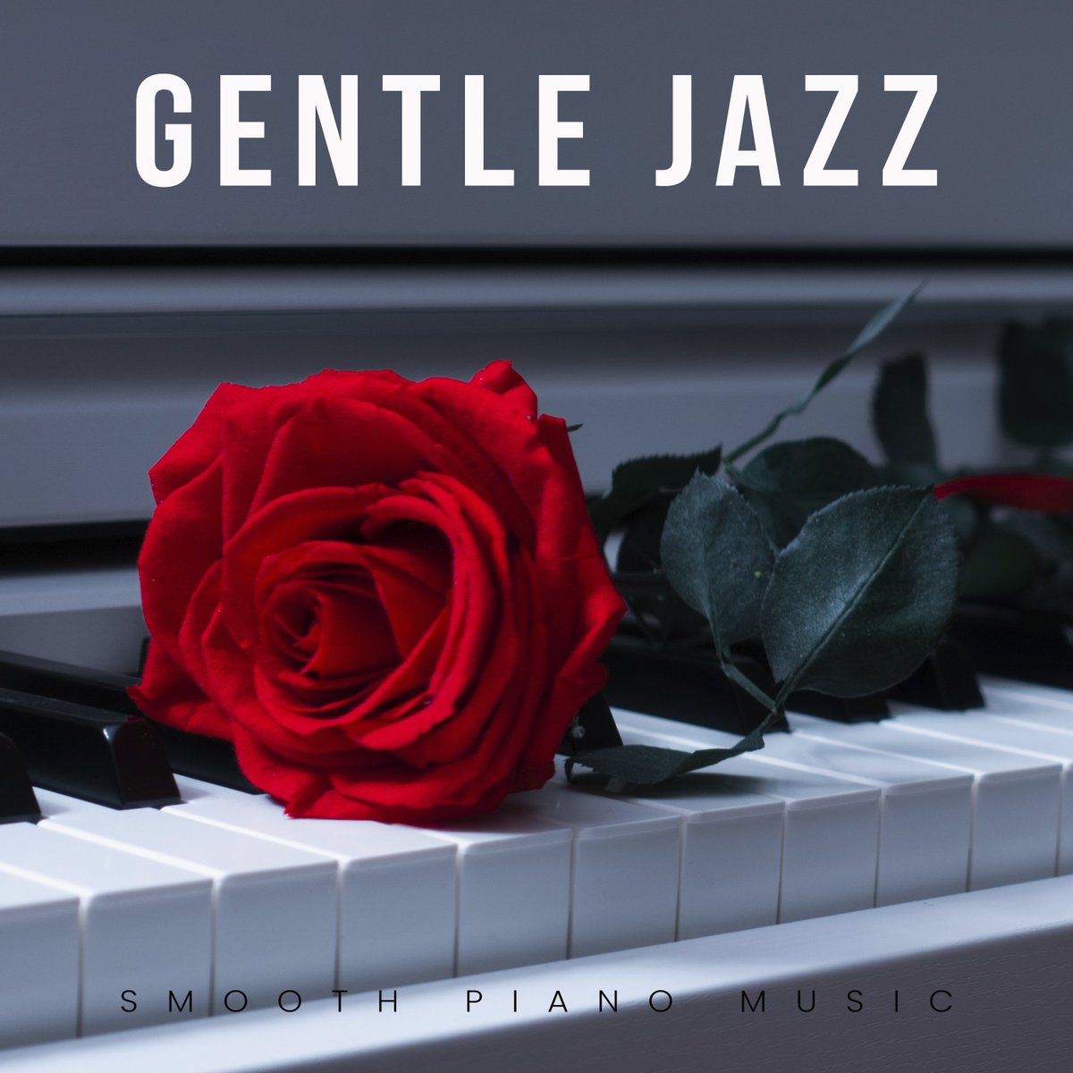 Immerse yourself in the soft, soothing world of Gentle Jazz🌹 New Release - Out Now! 📀| Listen Everywhere → fanlink.to/Gentle-Jazz, a delicately curated collection that provides a perfect escape into musical serenity.  
 #gentlejazz  #jazzmusic #loungemusic  #relaxmusic