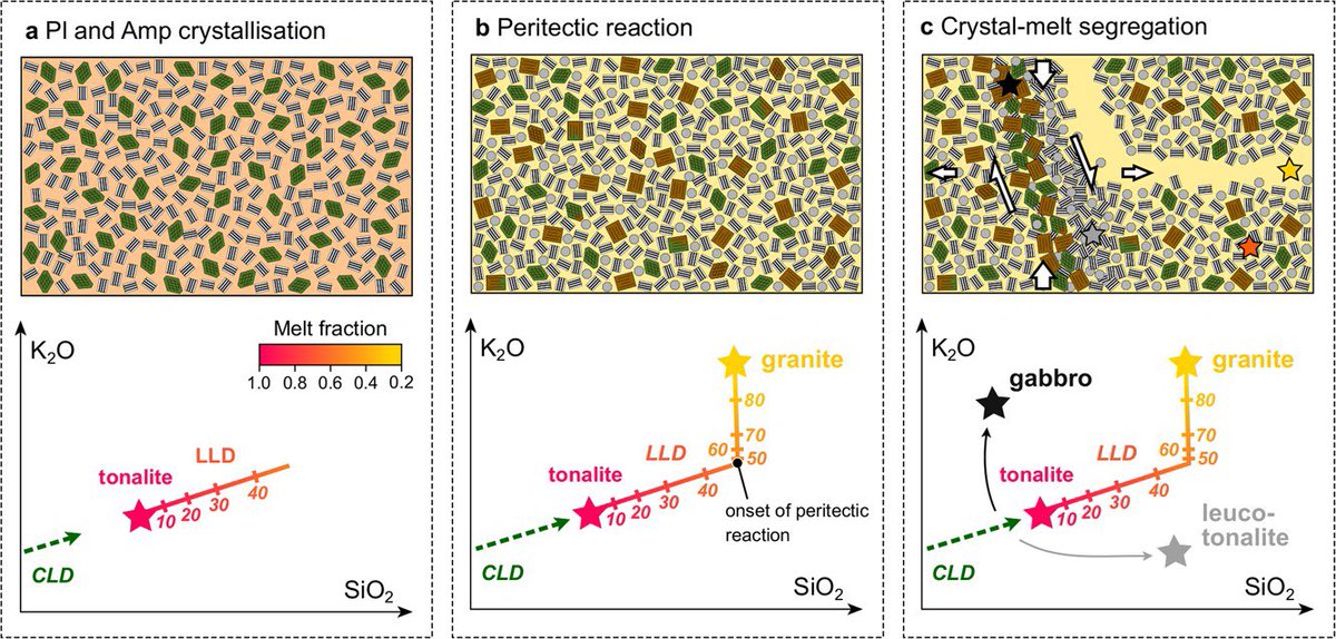 The first paper from my PhD! 

We investigated the physicochemical evolution of intermediate to felsic melts and highlighted the occurrence of a biotite-forming peritectic reaction potentially important during crystal-melt segregation!

doi.org/10.1093/petrol…

@ISTE_UNIL