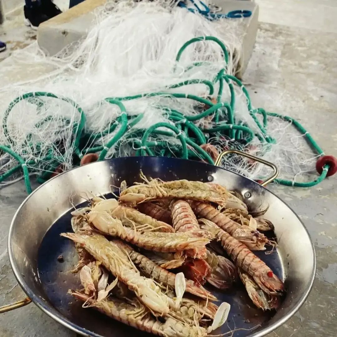 👣⚓ Aquest diumenge 10 de març és la teua última oportunitat per conèixer de primera mà les arts pesqueres i el port de #Vinaròs. 

😋🌊Fes-te amb els teus tiquets per a la visita guiada: Sabers i sabors de mar ➡️ linktr.ee/turismevinaros