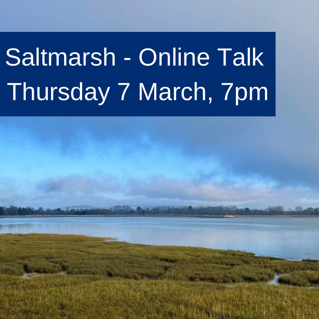 Why is saltmarsh so special? Join our free online talk this Thursday to find out, and learn about saltmarsh restoration in Chichester Harbour. Book here 👇 eventbrite.co.uk/e/solent-seasc… This talk is one of the @solentseascape winter habitat talks.