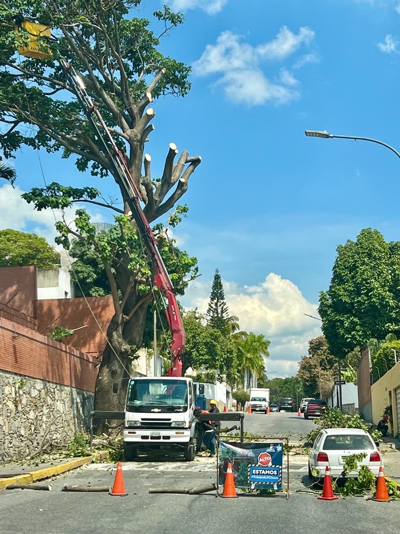 Alcaldía de <a href="/Chacao/">Alcaldía de Chacao</a> ¿ Cuál es la necesidad de estas podas severas? ¿a qué criterio obedecen? ¿Quién se beneficia?

Paren de destruir la vegetación del municipio.