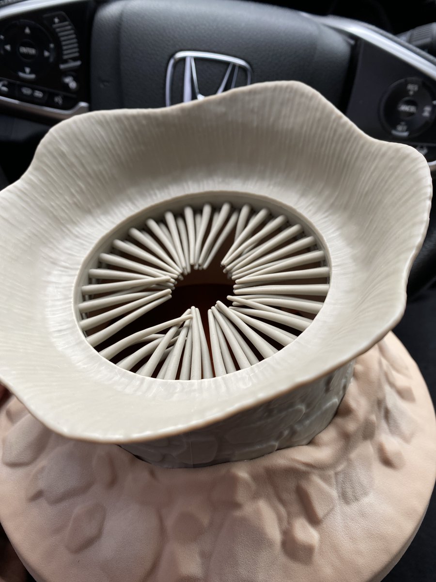 Model8197 tweet media