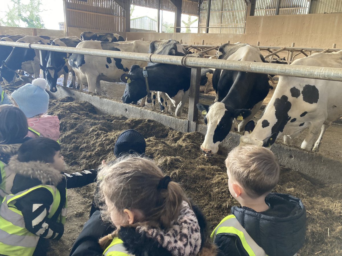 @earlyyearsWLP tweet media