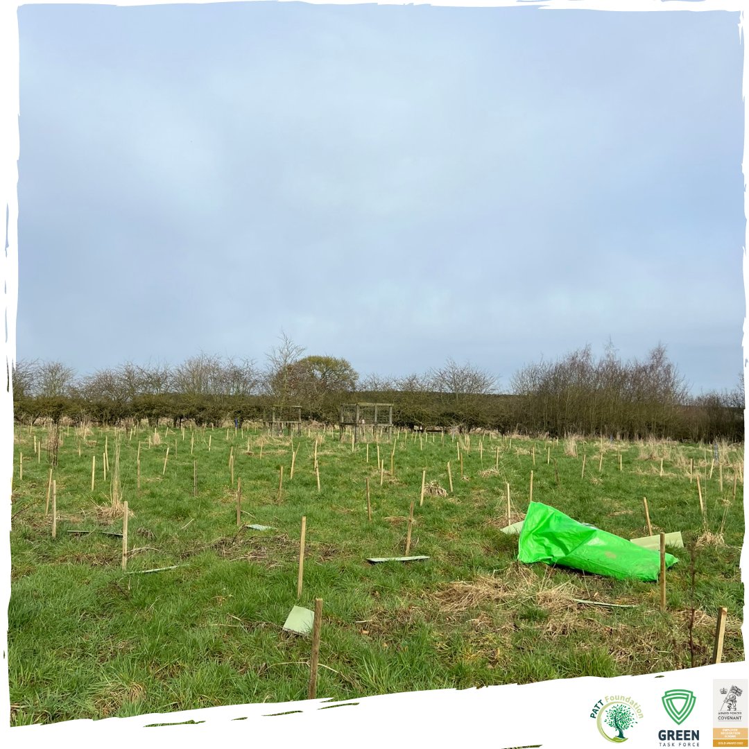 The team were recently planting at Fangfoss Beck, and thanks to our fantastic team of veterans, service leavers and volunteers from @OctopusEnergy we were able to complete that planting in record time! Supported and funded by @TreesForCities