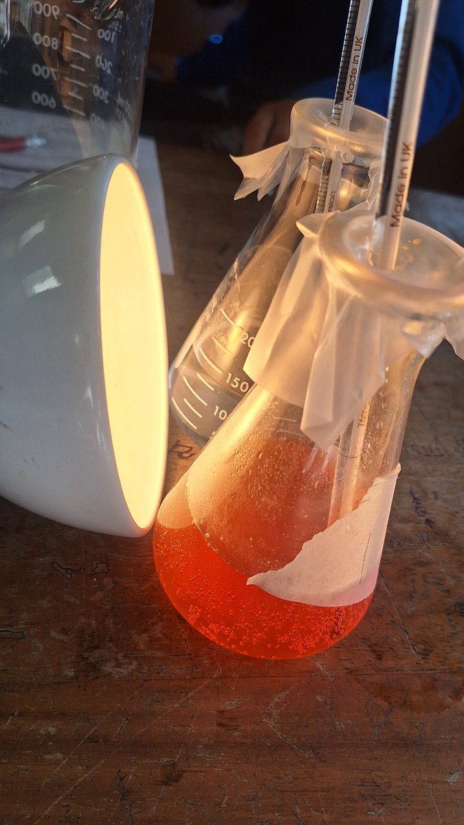 Nice activity investigating the effect of carbon and The Greenhouse Effect on Climate Change with 3rd year Science today from @Esero_ie 🌎☀️🌡 Link here: esero.ie/junior-cycle/e… Inspired by @Chaz30538440 we used Vitamin C tablets to add the carbonation instead. #jcscience