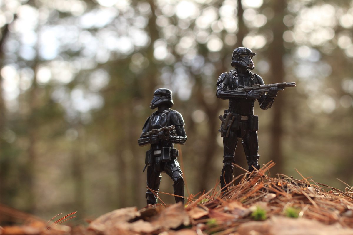 fafordsx4's tweet photo. Kept you waiting, huh?
#toyphotography #Pokemon #WWII #FortniteArt #StarWars https://t.co/bD6Oinh76Q