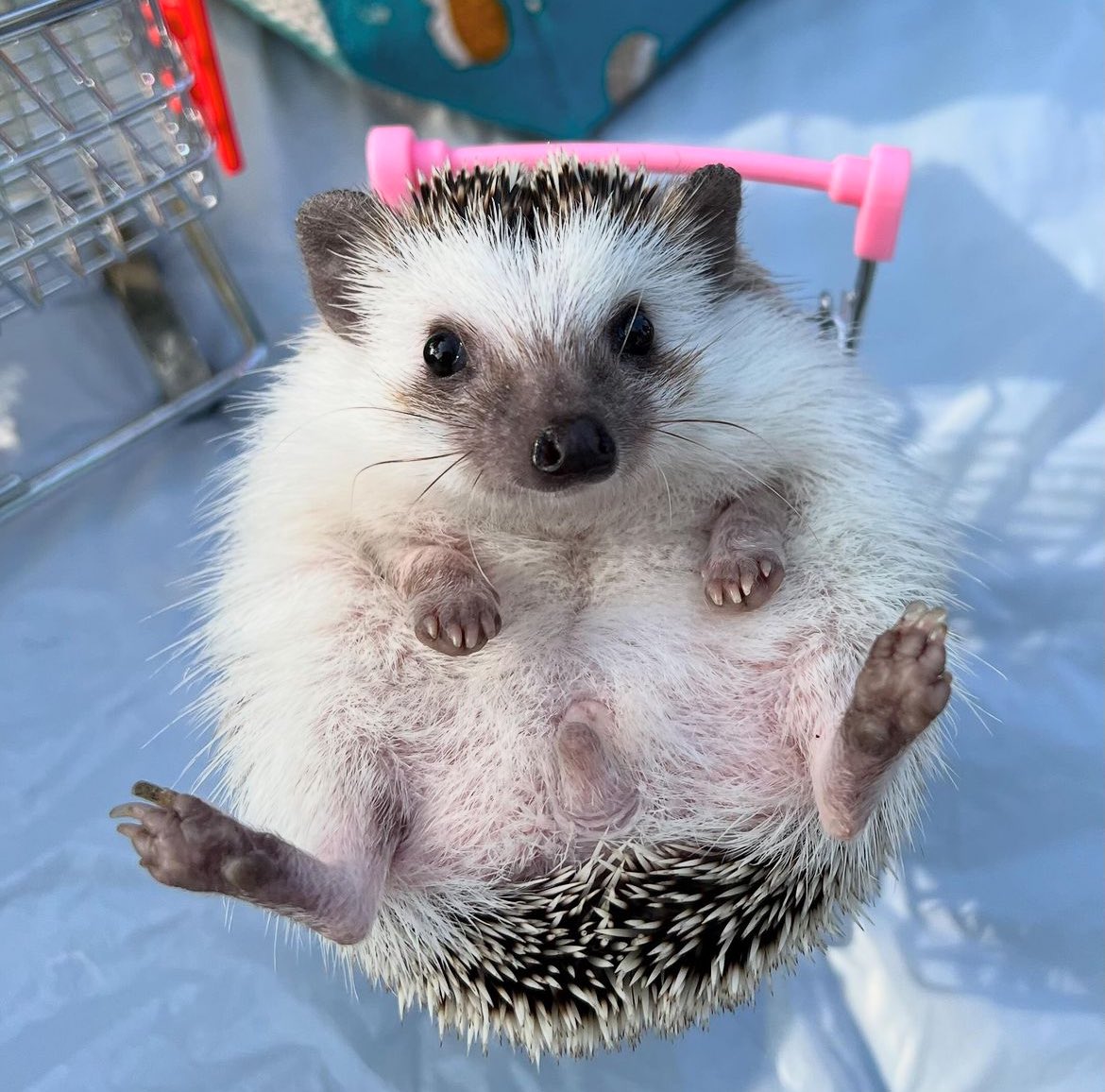 Tuesday 5th March, 2024