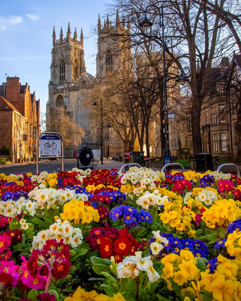 Spring has sprung! 🌸✨ 

Witness our city come alive with colour. York in spring is a must-see! 🌸

visityork.org
📸 yorkshire_brew