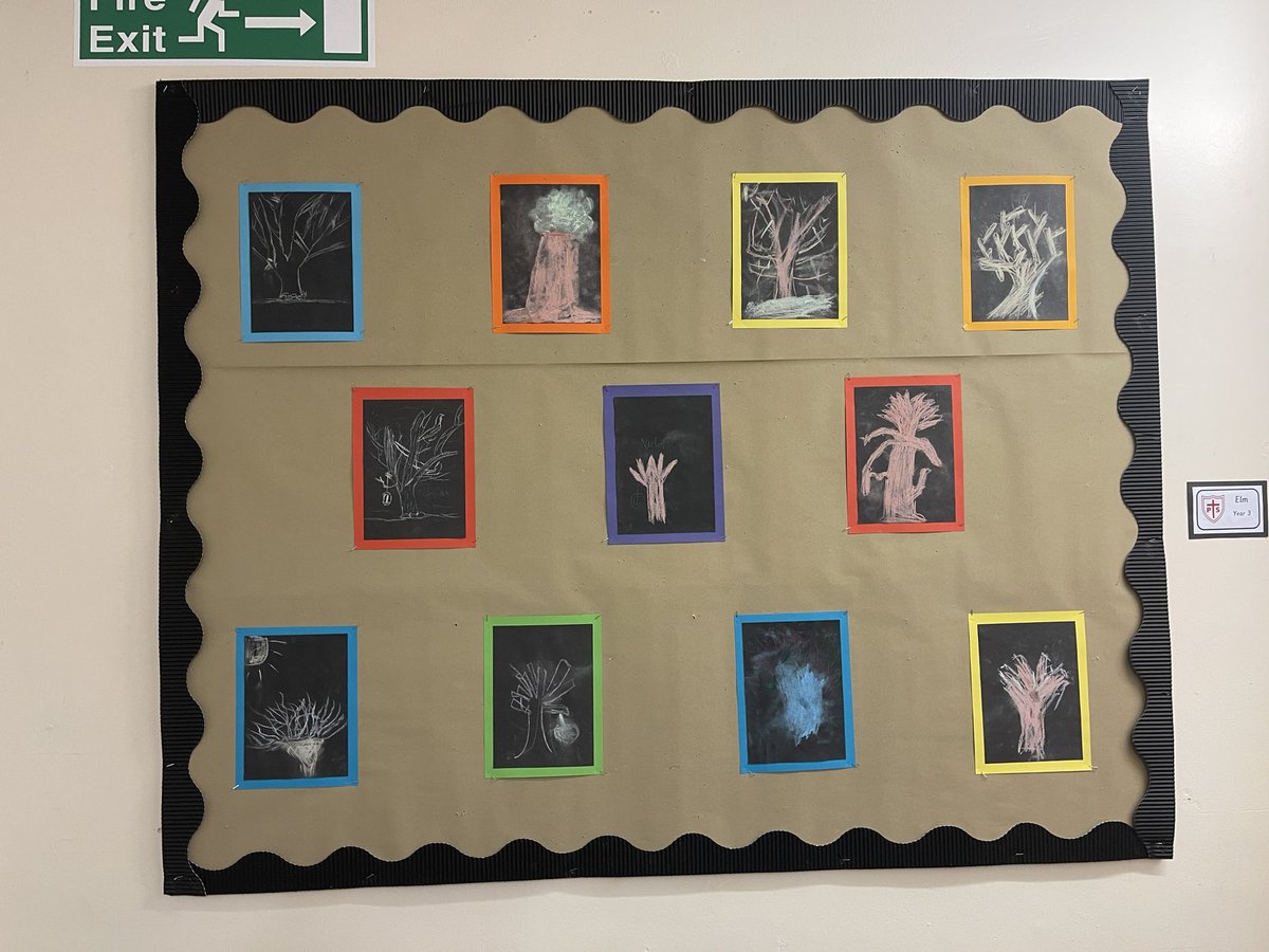This term we have worked together on a whole school project to study one of our favourite trees in the school grounds. Each class has sketched the tree and then produced a piece of art work for our very own art gallery. <a href="/WoodlandTrust/">WoodlandTrust</a>