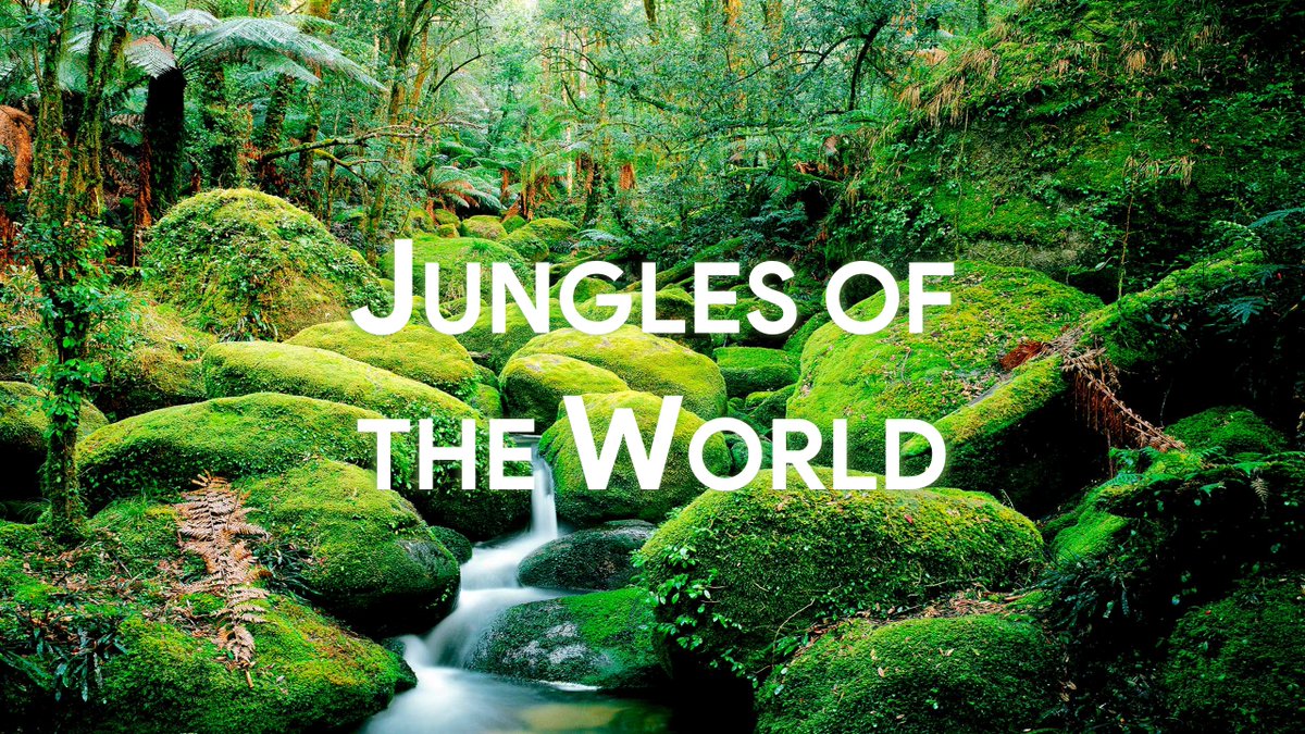btltutorials's tweet image. Crafting the Perfect Jungle Adventure: PowerPoint Tutorial
youtube.com/shorts/1vsyUoU…
Download this Template Here - thepowerpoint.team/store/p/jungle…
#powerpointtutorial #presentationskills #creativepresentations #slidedesigner #powerpointtips #powerpointtemplate #thepowerpointteam