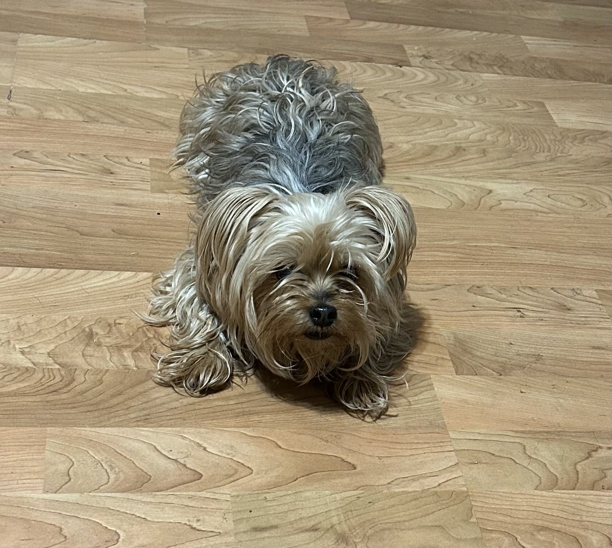 Eric Dreshfield (He/Him) tweet media