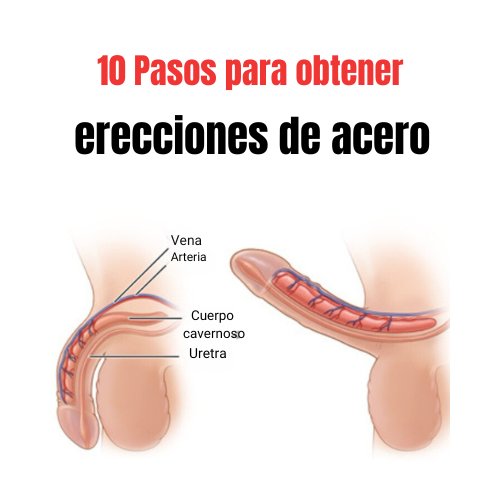 Fernandoelsexo's tweet photo. Para conseguir erecciones duras como el acero y ser aún mejor en la cama, siga estos 10 pasos:

HILO 🧵 https://t.co/hx2GfkPXrr