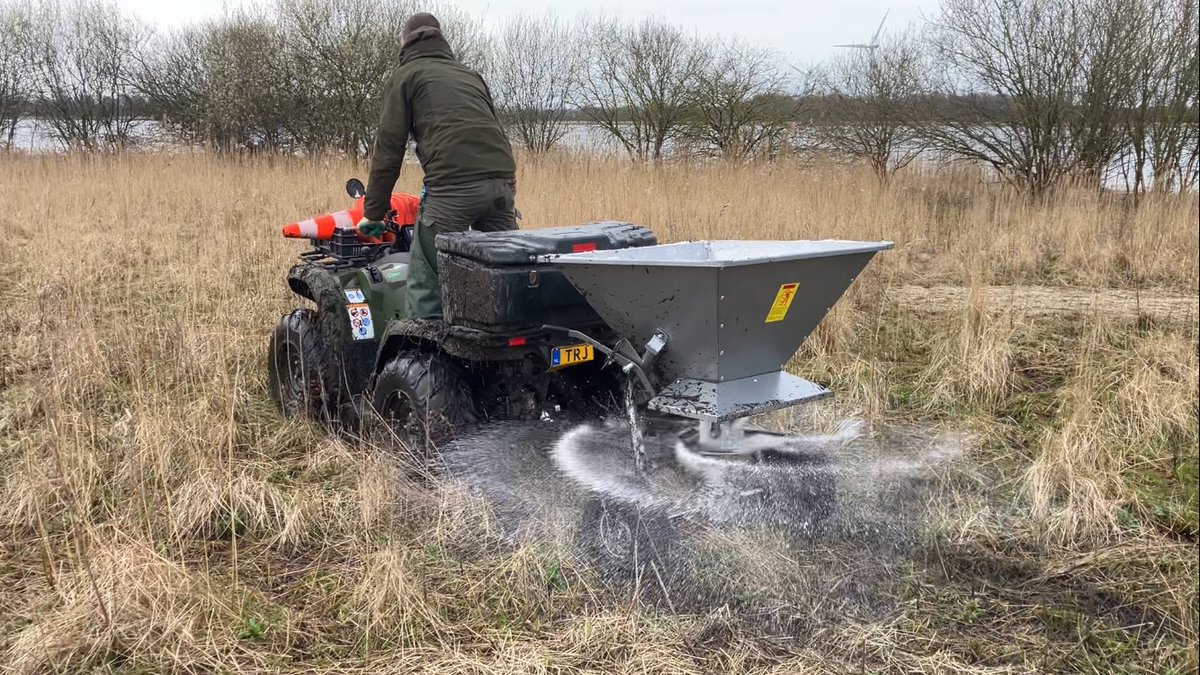 Experiment gedaan vandaag met uitstrooien (puur) zout op verruigde slikstranden #markiezaat. Eerder ook proeven met drukbegrazing en beheerbrand. We zoeken naar het optimale beheer voor oa kale grond broeders.