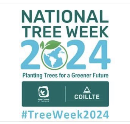 National Tree Week takes place this week from Sunday 3rd to Sunday 10th March. All trees have now been allocated to schools and community groups. There are lots of interesting free webinars available to join as part of #nationaltreeweek
treecouncil.ie/list-of-webina… 
#treeweek2024