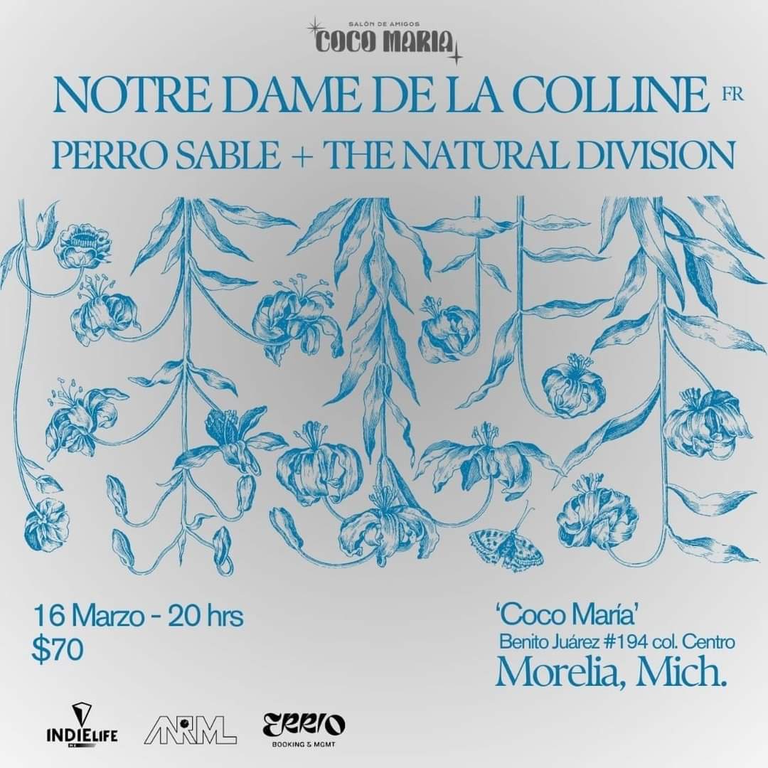 Perro_Sable's tweet photo. Antes de "Synergia", nos vemos en Coco Maria, en Morelia, junto a Notre Dame De La Colline y Yhe Natural Division

#perrosable #perrosableenvivo #notredamedelacolline #thenaturaldivision https://t.co/JsCOptmCf7