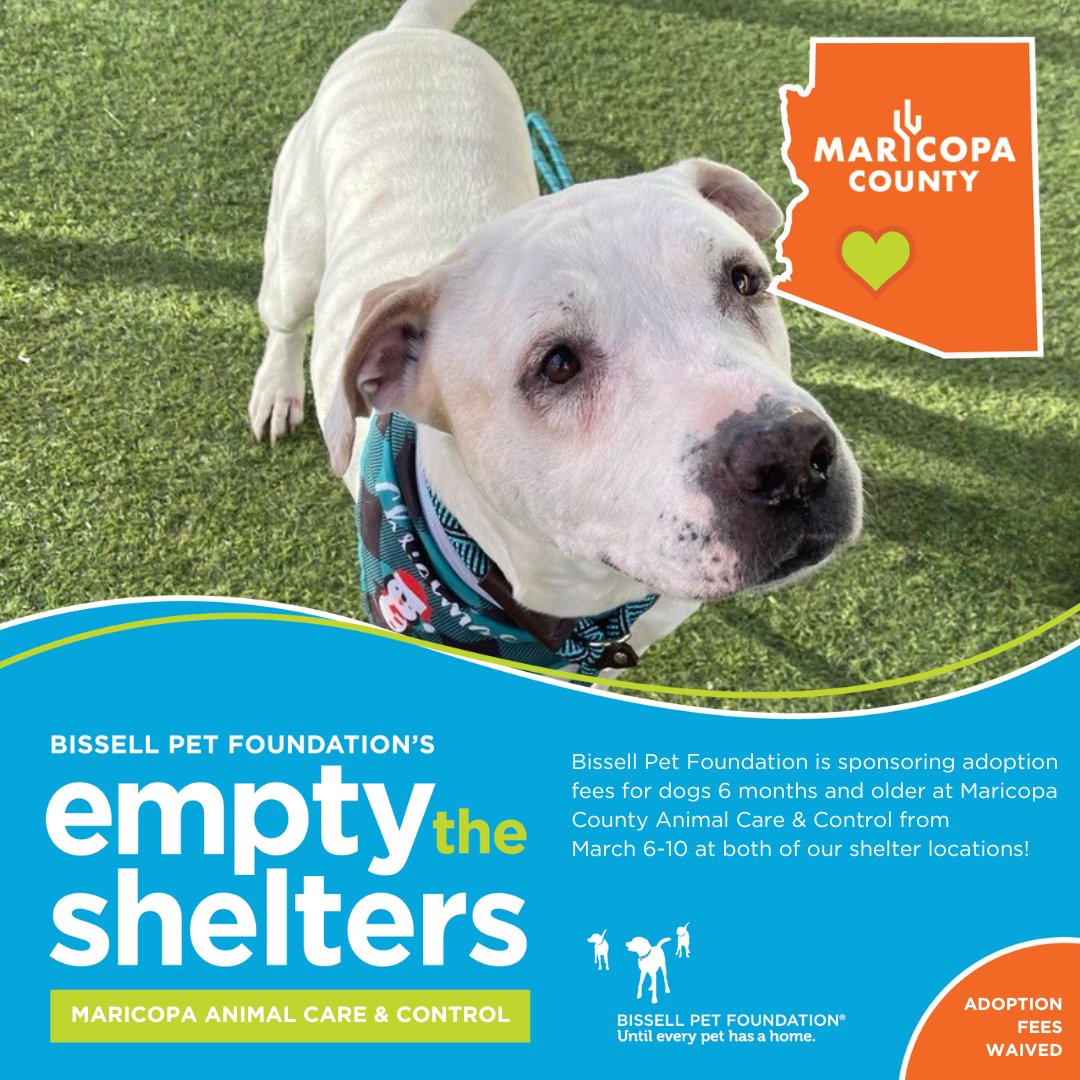 Mcacc hotsell free adoption