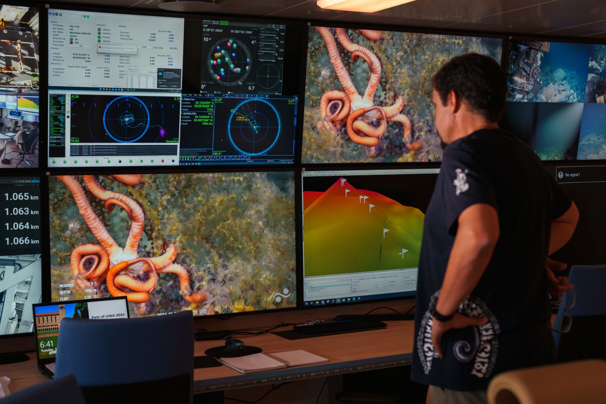 ROVplanet's tweet photo. Scientists Confirm Underwater Mountains Harbor Abundant Life Off Chile’s Coast
@SchmidtOcean @Nektonmission #chile #oceanscience #oceanexploration #discovery #species #underwater #subsea #robotics #biology #expedition #deepsea #coral #lobster #science
https://t.co/SzwrWPdpLz https://t.co/Mg9HB3NYmo