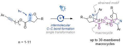 How would you make these macrocyclic dimers in a single transformation? We figured it out in a great collaboration with the Kulik lab @KulikGroup as part of @CciMonet ! Congratulations to Cody, Scott, Ilia, Gianmarco, and Emily! pubs.acs.org/doi/full/10.10…